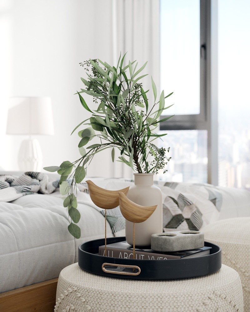 BS_0001_view_2.jpg
