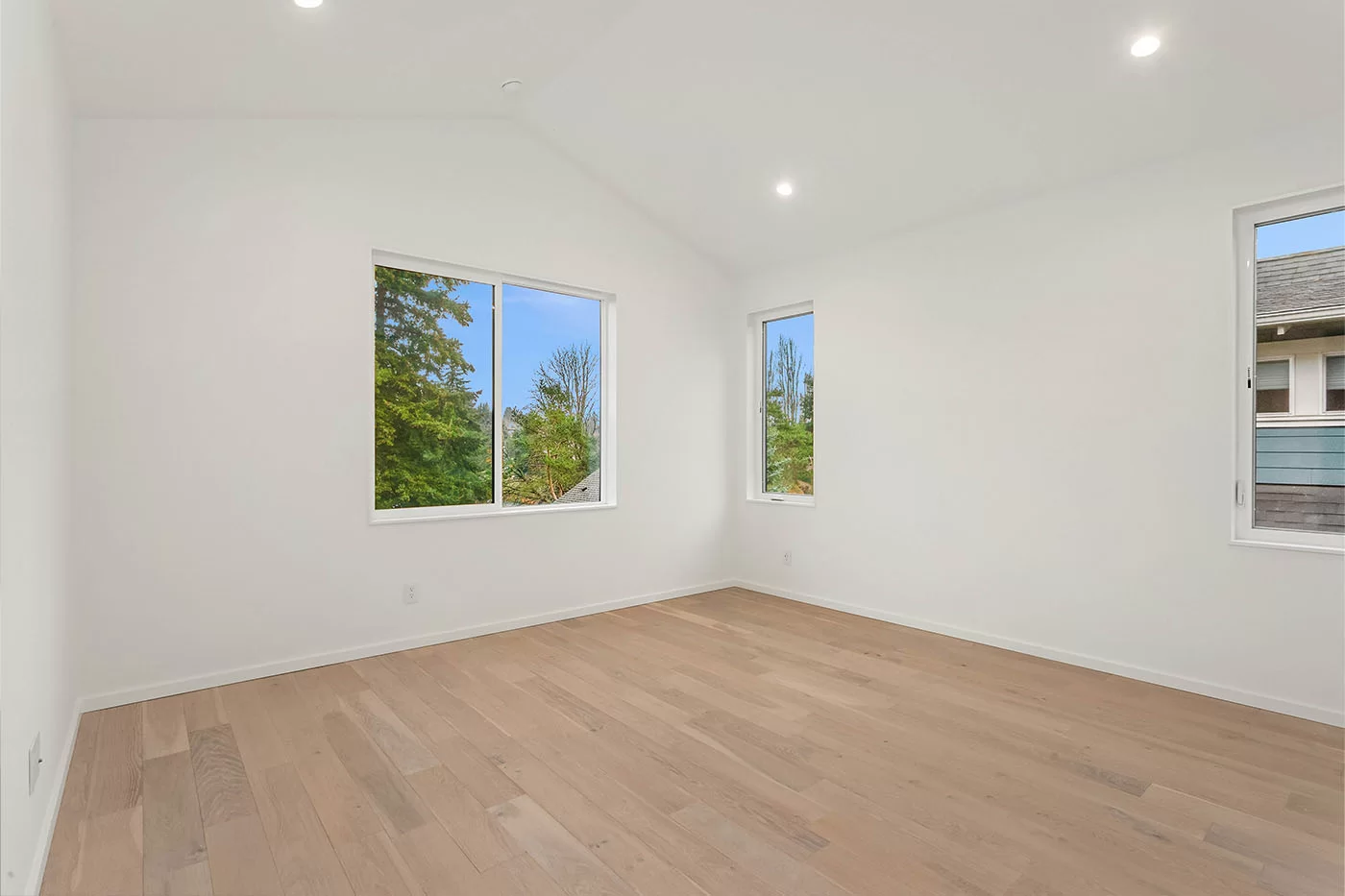 Monthly Showcase (January 2025)