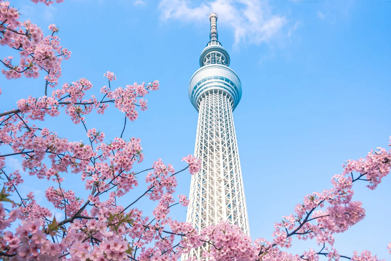The Latest Peculiarities To Observe In Cultural Architecture